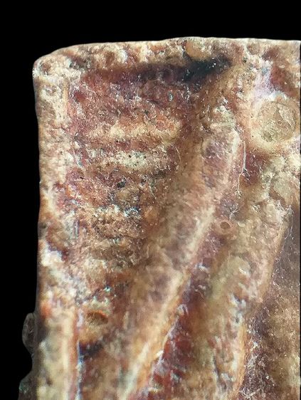 ปากน้ำ รุ่น1. รูปที่ 10