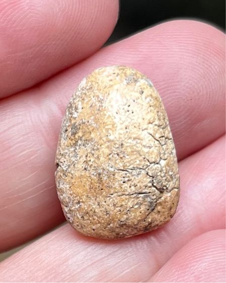 พระวัดพลับ รูปที่ 2