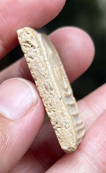 พระสมเด็จเส้นด้าย รูปที่ 3