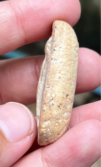 พระวัดพลับวันทา รูปที่ 4