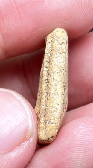 หลวงพ่ออ้น รูปที่ 3