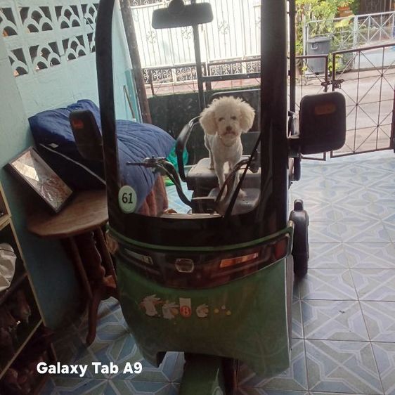 ขายรถสามล้อไฟฟ้า รูปที่ 2
