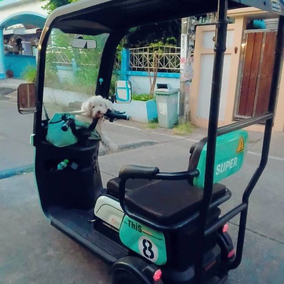 ขายรถสามล้อไฟฟ้า