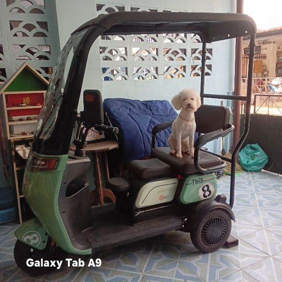 ขายรถสามล้อไฟฟ้า รูปที่ 3