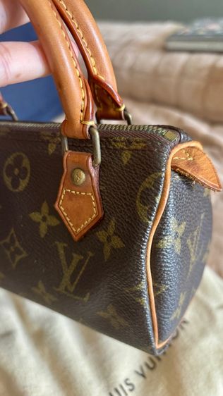 หลุยมินิ Lv  รูปที่ 6