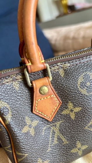 หลุยมินิ Lv  รูปที่ 8