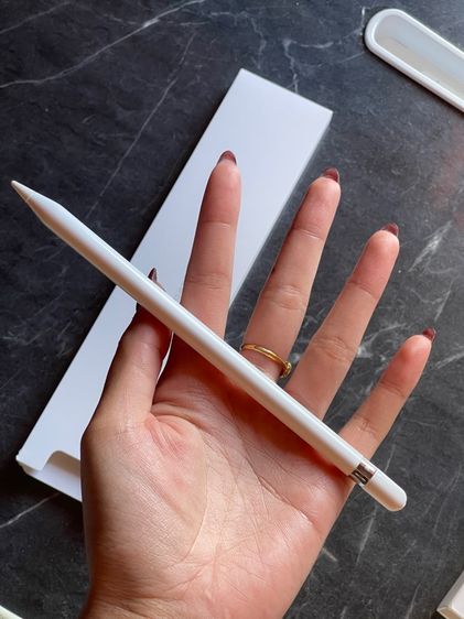 Apple Pencil (1st Generation)