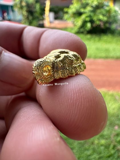 หลวงปู่ศิลา สิริจันโท พญาเต่าเรือน รูปที่ 9