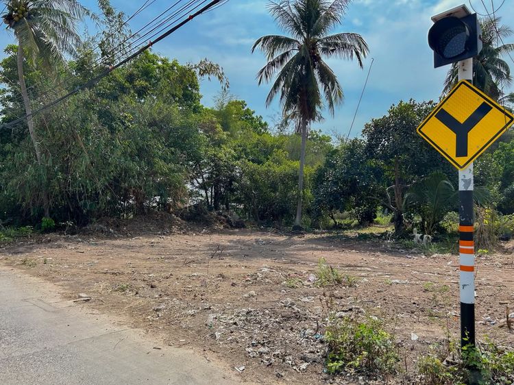 อสังหาริมทรัพย์ที่ดิน รูปที่ 3