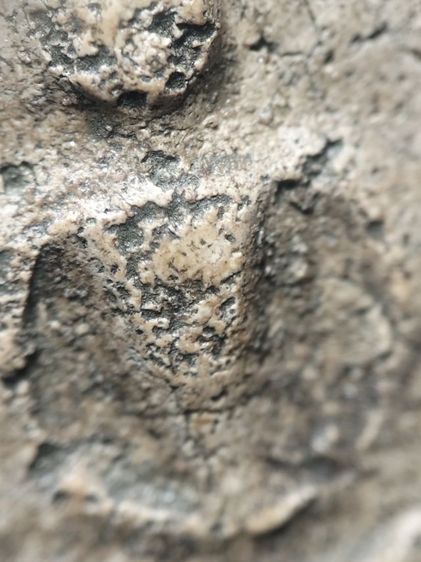 พระสมเด็จเก่ามีหักซ่อมมุมด้านล่างครับ รูปที่ 9