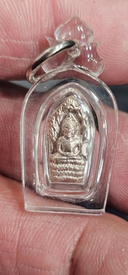 พระนาคปรกมะขามหลวงพ่อคูณปี2537 รูปที่ 2