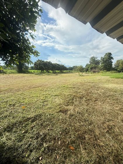 ที่ดินถมแล้วพร้อมสร้างบ้าน รูปที่ 2