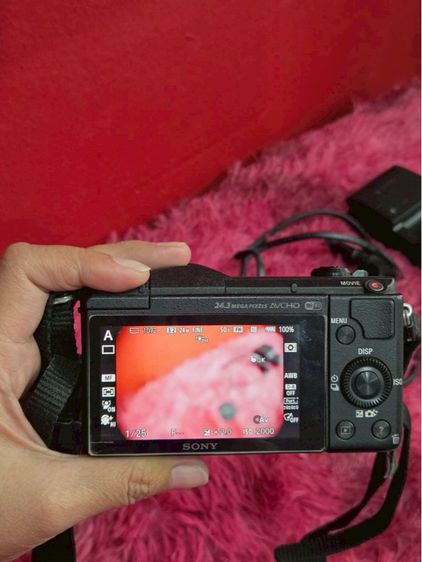 ขายกล้อง Sony Alpha a5100 (α5100)  รูปที่ 7