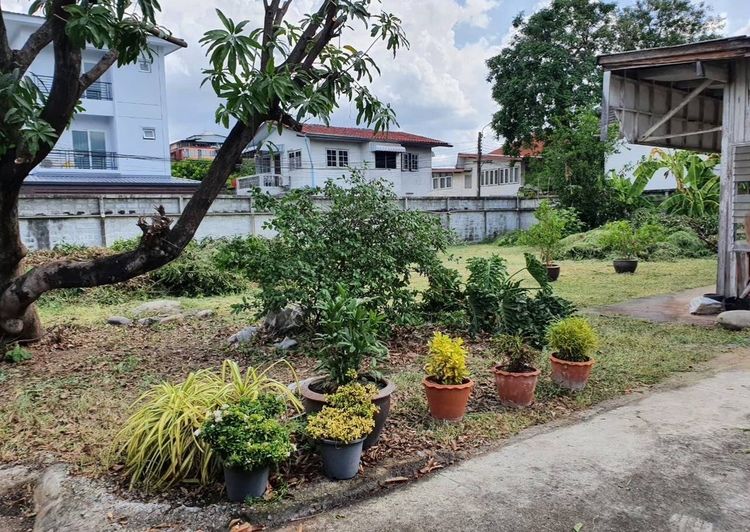 ที่ดินทำเลทอง ใกล้แยกสุทธิสาร ซอยอินทามระ 28 รูปที่ 2