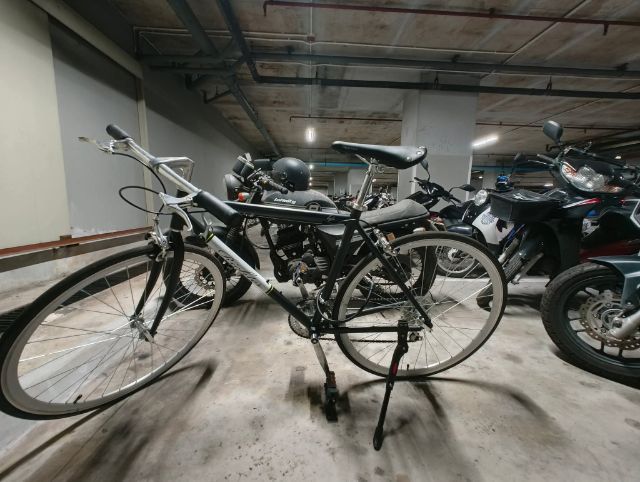 Richter Kylo รูปที่ 4