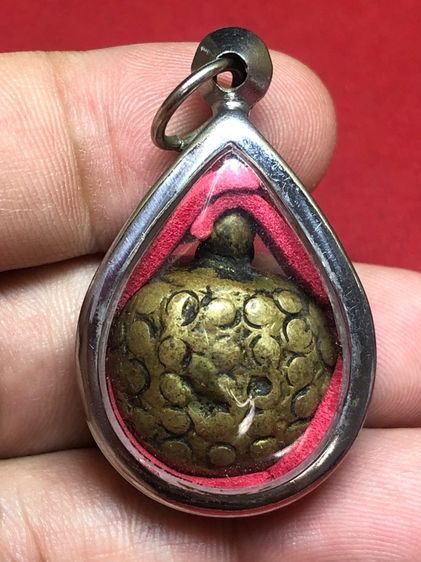 พญาเต่าเรือนพ่อเงิน