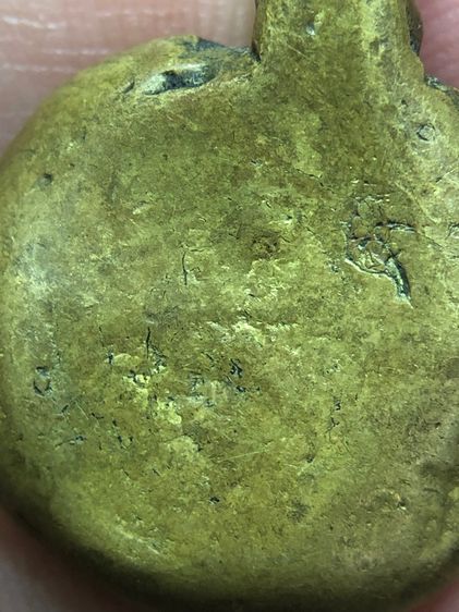 พญาเต่าเรือนพ่อเงิน รูปที่ 8