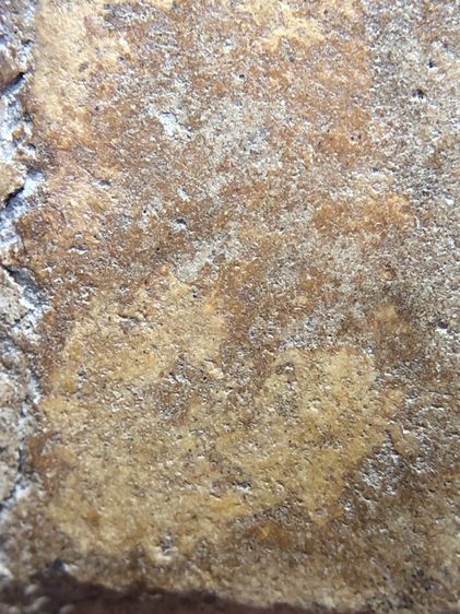 พระสมเด็จวัดระฆัง รูปที่ 8