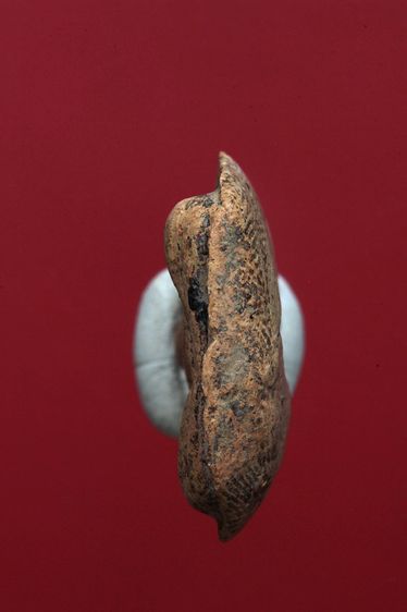 พระซุ้มกอสวยๆค่ะเก่าค่ะ รูปที่ 5