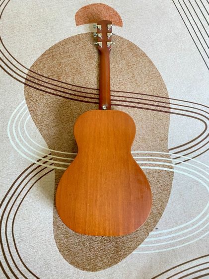 Larrive P-01 รูปที่ 3