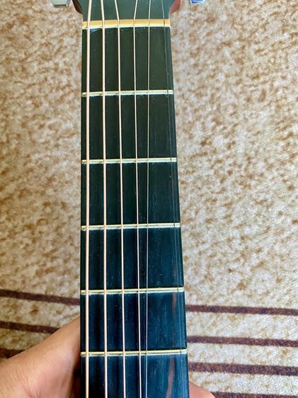 Larrive P-01 รูปที่ 6