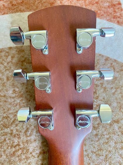 Larrive P-01 รูปที่ 5