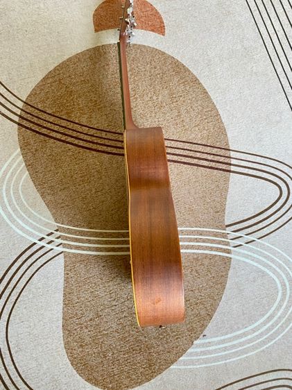 Larrive P-01 รูปที่ 8