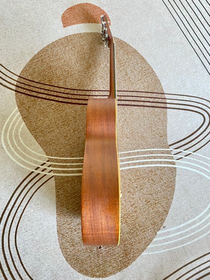 Larrive P-01 รูปที่ 7