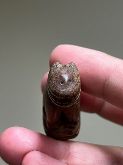 เสือไม้แกะ ก้นอุดคลั่ง รูปที่ 3