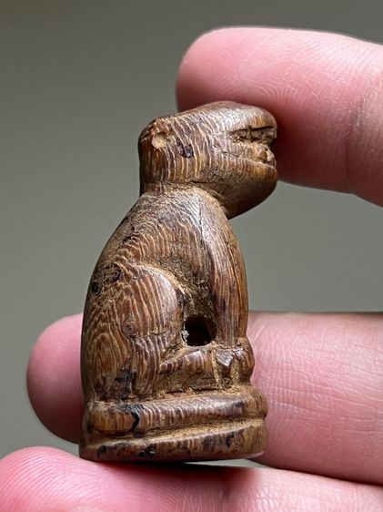 เสือไม้แกะ ก้นอุดคลั่ง รูปที่ 2