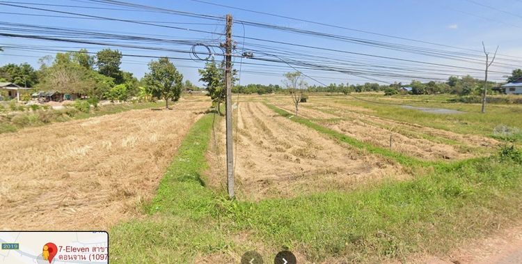 ขายที่นาแปลงสวย ทำเลดี ใกล้ถนนหลัก บ้านหนองแคน จ.กาฬสินธุ์ รูปที่ 2