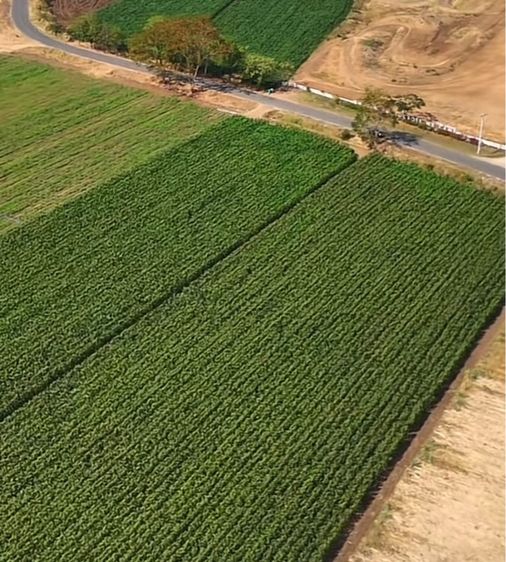 ไม่ใช่ ขายที่ดินติดแม่น้ำป่าสัก วิวเขา  รูปที่ 4