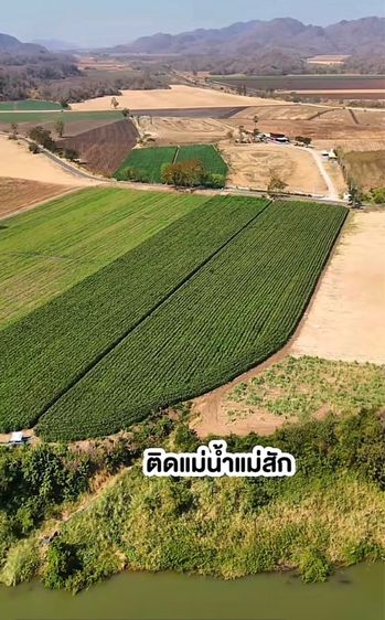 ไม่ใช่ ขายที่ดินติดแม่น้ำป่าสัก วิวเขา รูปที่ 2