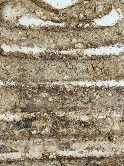 พระสมเด็จวัดระฆัง พิมพ์ใหญ่ ฝากกรุสองคลอง  เนื้อจัด ฟอร์มดี  รูปที่ 4