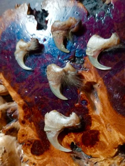  แท้เก่าโบราณสภาพเยี่ยม รูปที่ 6