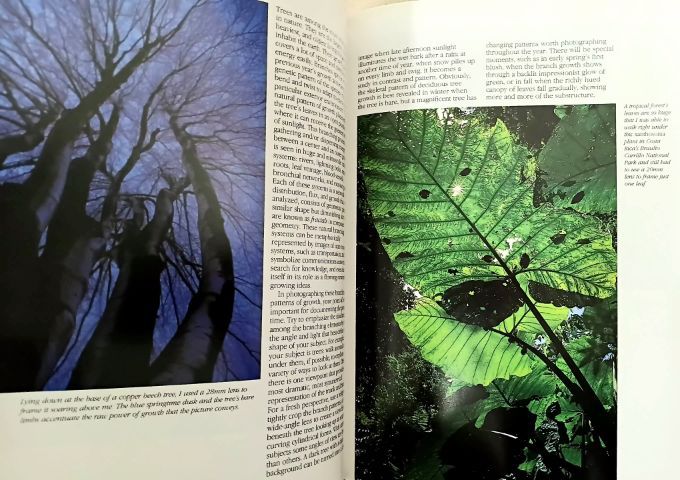 หนังสือ ต่างประเทศ ตำรา การถ่ายภาพ ปูพื้นฐานสู่มืออาชีพ รูปที่ 7