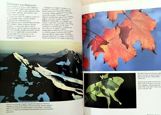 หนังสือ ต่างประเทศ ตำรา การถ่ายภาพ ปูพื้นฐานสู่มืออาชีพ รูปที่ 8