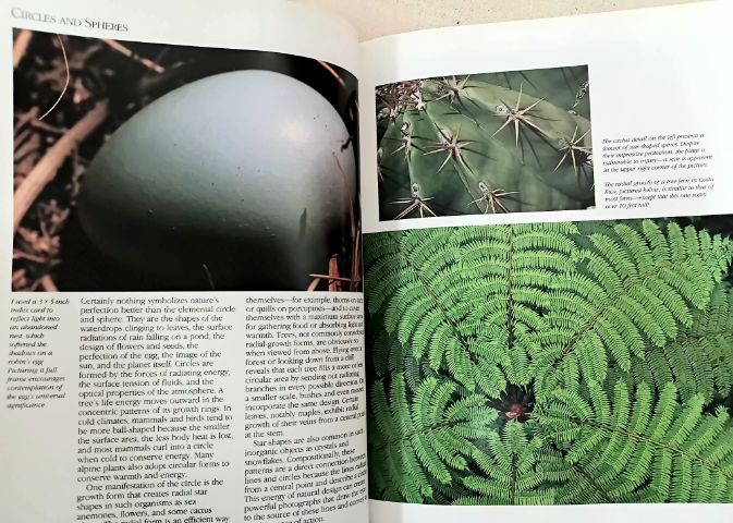 หนังสือ ต่างประเทศ ตำรา การถ่ายภาพ ปูพื้นฐานสู่มืออาชีพ รูปที่ 13