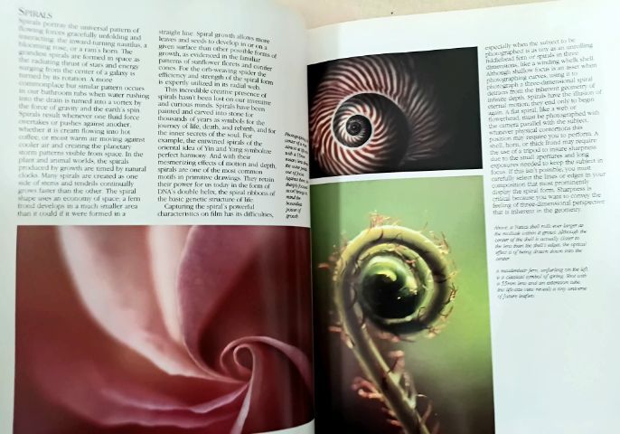หนังสือ ต่างประเทศ ตำรา การถ่ายภาพ ปูพื้นฐานสู่มืออาชีพ รูปที่ 11