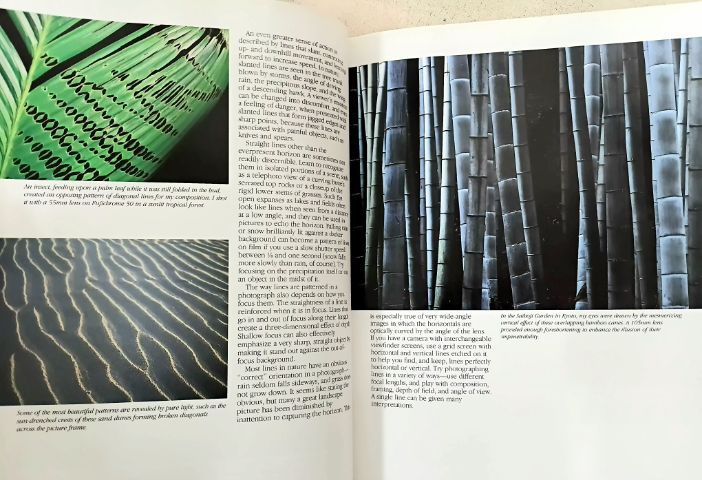 หนังสือ ต่างประเทศ ตำรา การถ่ายภาพ ปูพื้นฐานสู่มืออาชีพ รูปที่ 15
