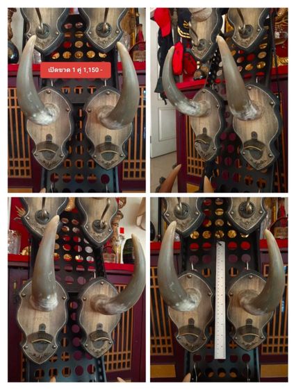 แท้ทั้งชุดสุดงามสภาพเยี่ยม..เขาแท้ไม้แท้โลหะแท้ยังไม่เคยโชว์หรือใช้งานที่ไหนมาก่อน รูปที่ 7