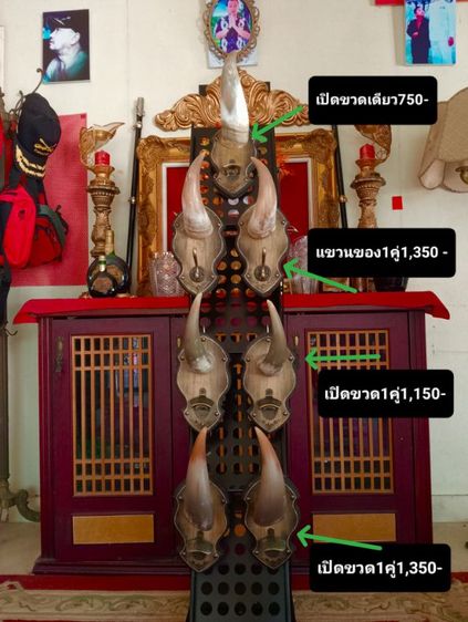 แท้ทั้งชุดสุดงามสภาพเยี่ยม..เขาแท้ไม้แท้โลหะแท้ยังไม่เคยโชว์หรือใช้งานที่ไหนมาก่อน