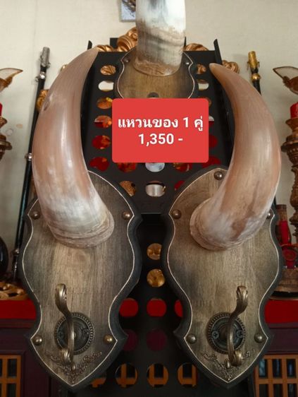 แท้ทั้งชุดสุดงามสภาพเยี่ยม..เขาแท้ไม้แท้โลหะแท้ยังไม่เคยโชว์หรือใช้งานที่ไหนมาก่อน รูปที่ 5