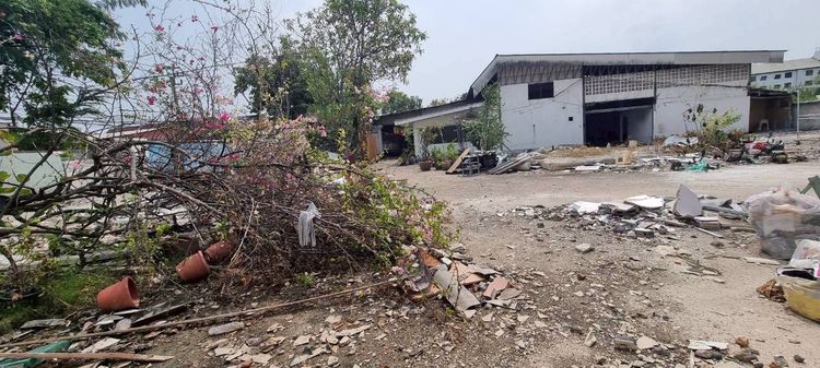 ขายที่ดินหมู่บ้านชลเทพ ถนนเทพารักษ์ กม. 13 อำเภอ บางพลี สมุทรปราการ พร้อมสิ่งปลูกสร้าง  รูปที่ 3