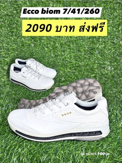 รองเท้ากอล์ฟแท้  รูปที่ 9