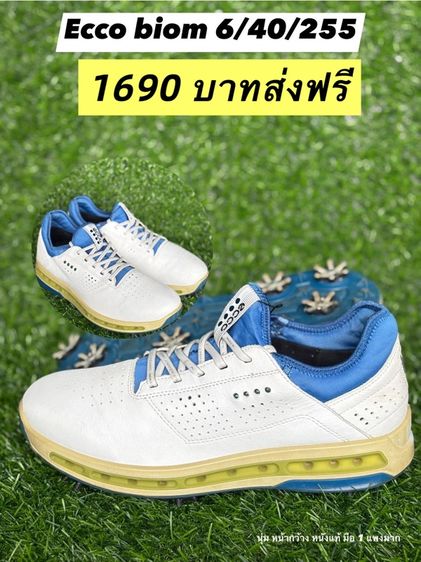 รองเท้า กอล์ฟมือสอง  รูปที่ 8