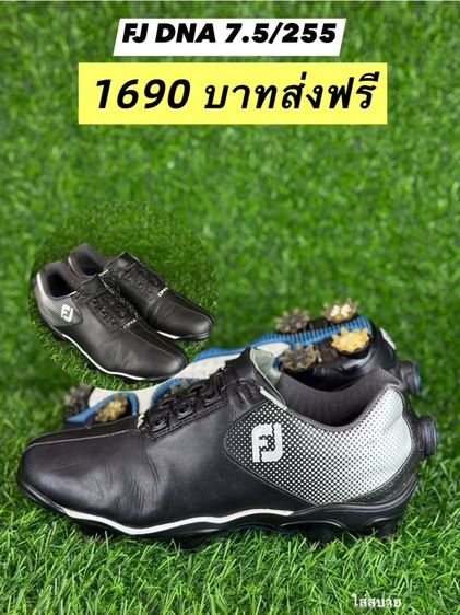 รองเท้า กอล์ฟมือสอง  รูปที่ 9