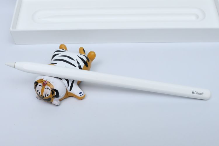 Apple Pencil รุ่น 2 - ID26010216 รูปที่ 2