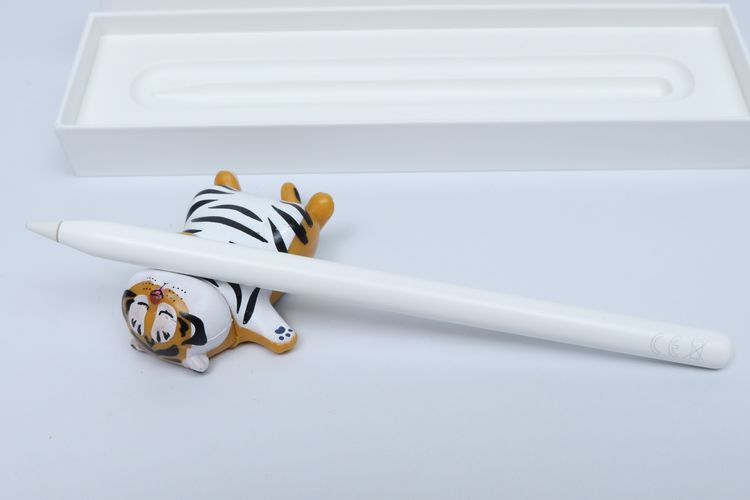 Apple Pencil รุ่น 2 - ID26010216 รูปที่ 3