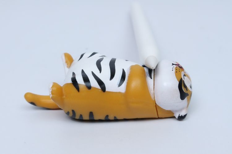 Apple Pencil USB-C - ID26010221 รูปที่ 5